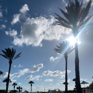 Meet your Posher, Zuwi